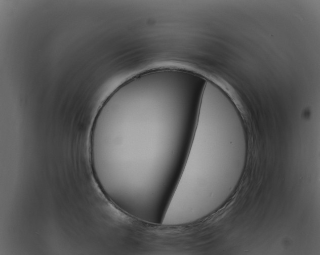 X0000091731199200708241036