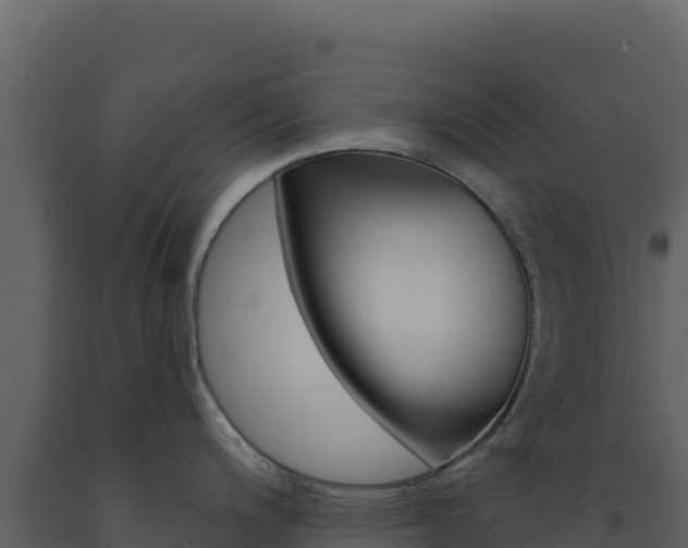 X0000091731200200708241036