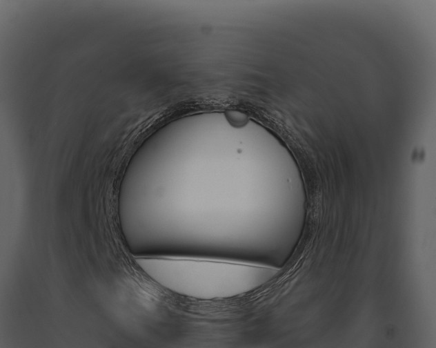 X0000091731201200708241035