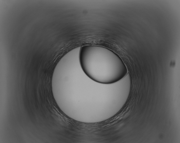 X0000091731202200708241035