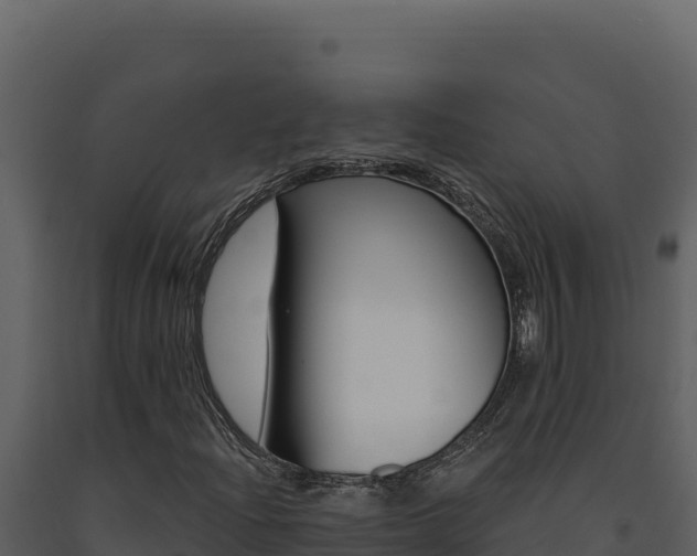 X0000091731204200708241035