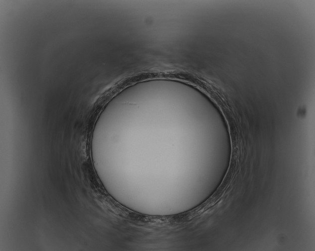 X0000091731205200708241036