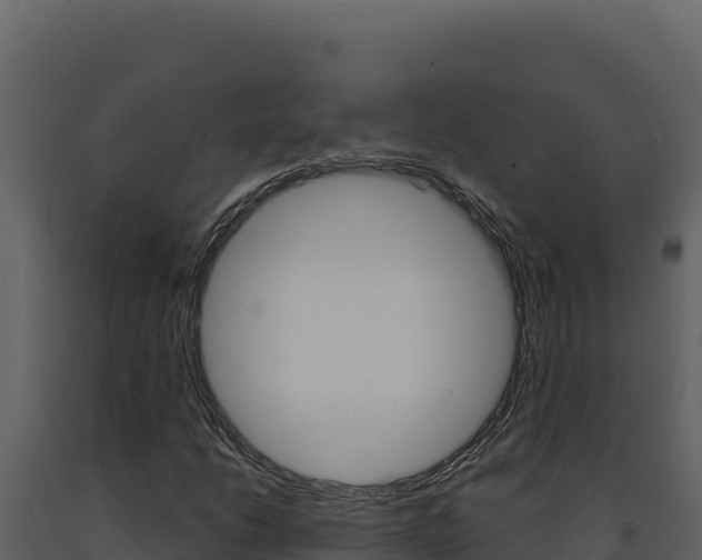 X0000091731206200708241036