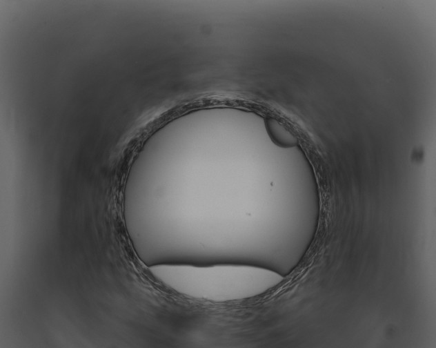X0000091731207200708241036