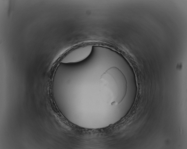 X0000091731208200708241036