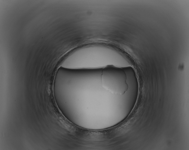 X0000091731209200708241036