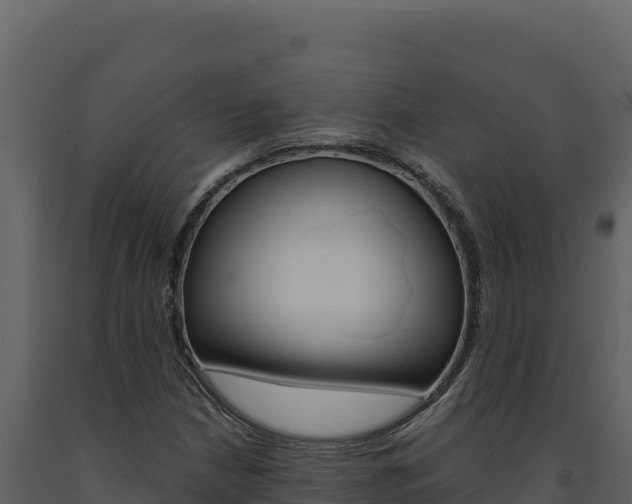 X0000091731210200708241036