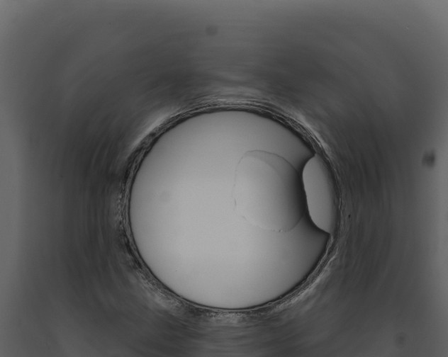 X0000091731211200708241036