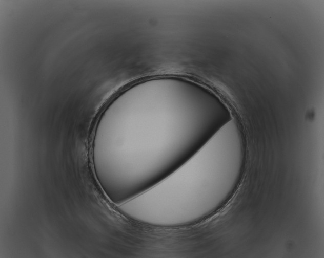 X0000091731212200708241036
