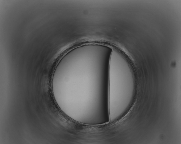 X0000091731213200708241036