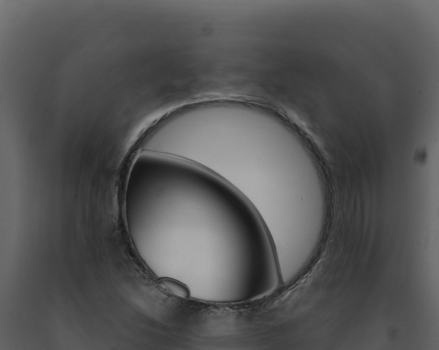 X0000091731214200708241036