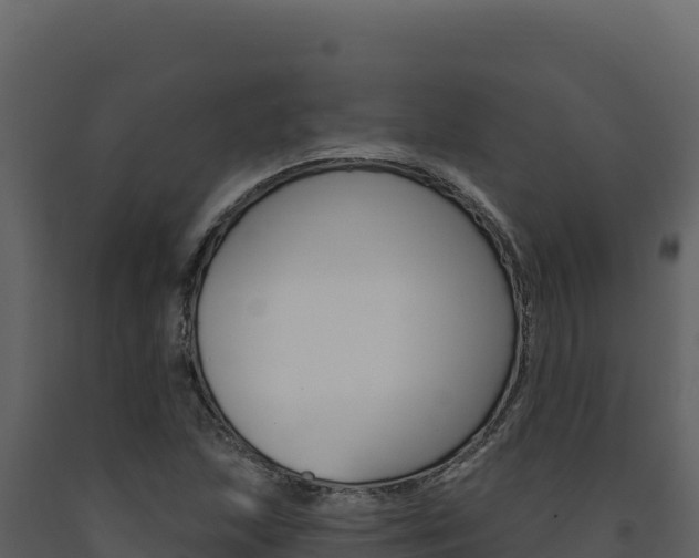 X0000091731215200708241036