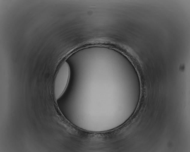 X0000091731217200708241036
