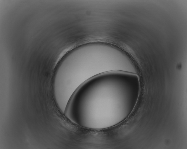 X0000091731218200708241036