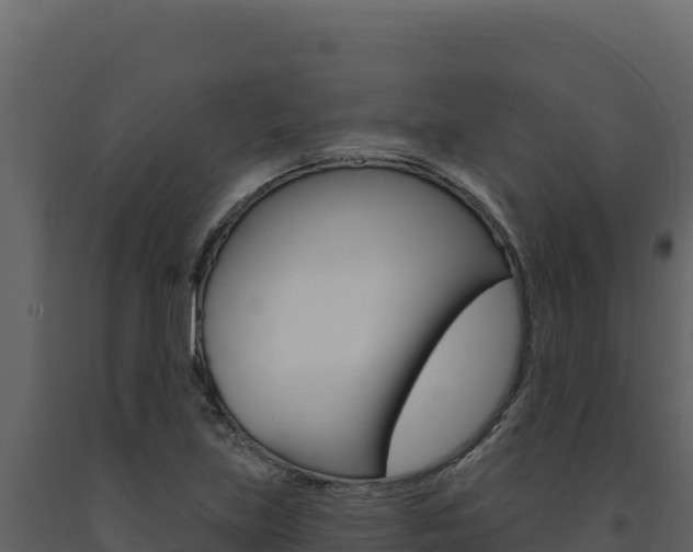 X0000091731219200708241036