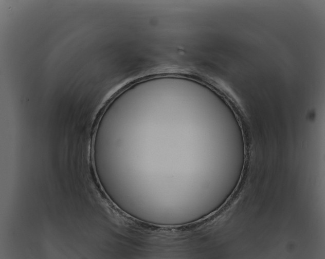 X0000091731220200708241036