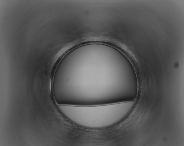 X0000091731221200708241036