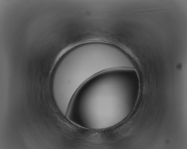 X0000091731222200708241036