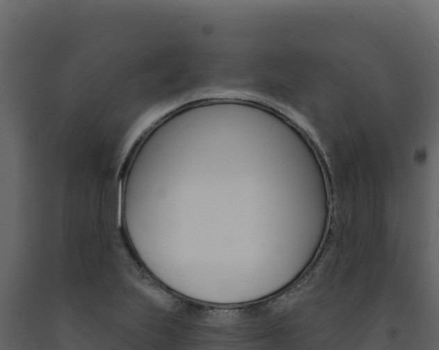 X0000091731223200708241036