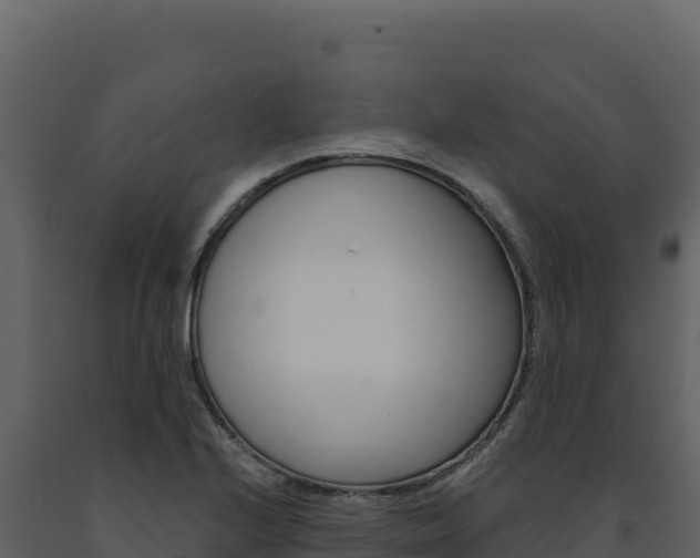 X0000091731224200708241036