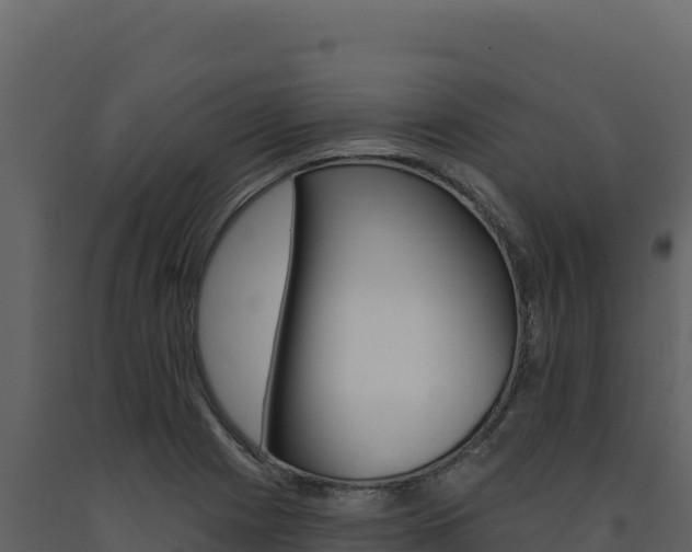 X0000091731225200708241036