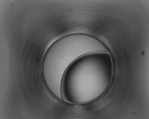 X0000091731226200708241036