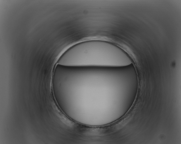 X0000091731228200708241036