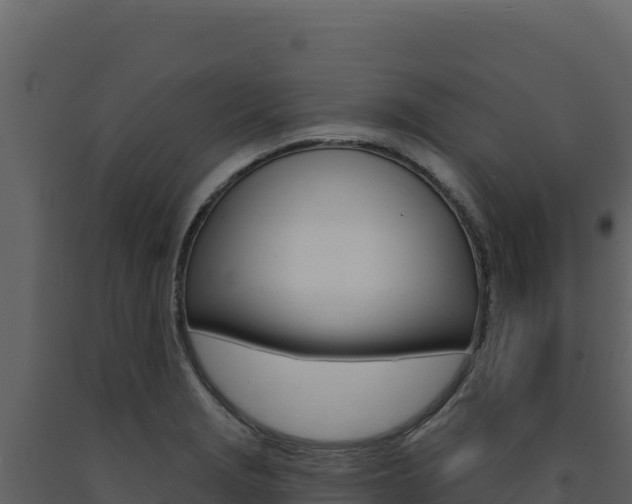 X0000091731229200708241036