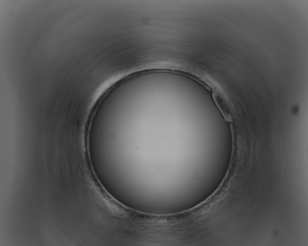 X0000091731230200708241036