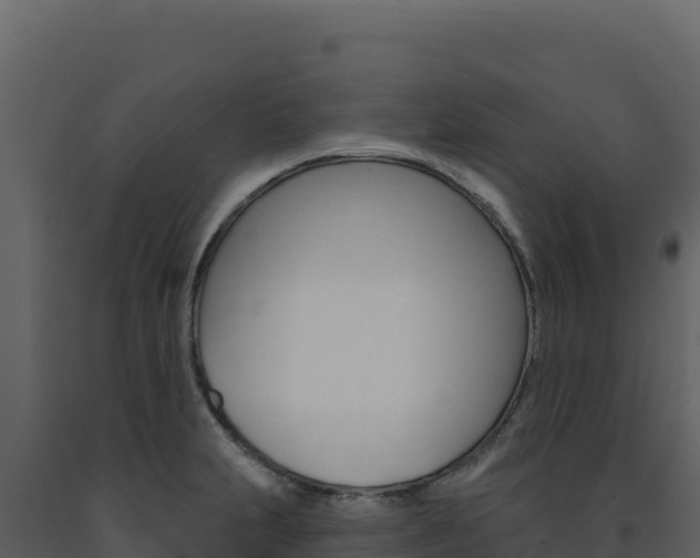 X0000091731231200708241036