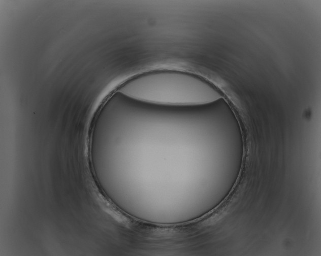 X0000091731232200708241036
