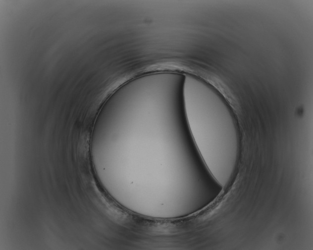 X0000091731233200708241036