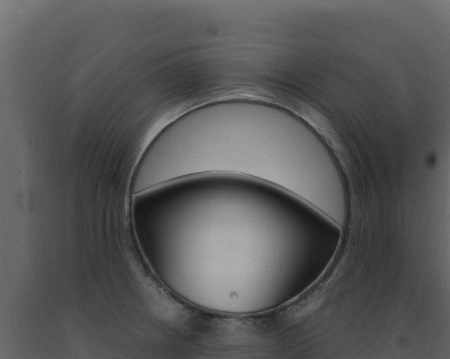 X0000091731234200708241036