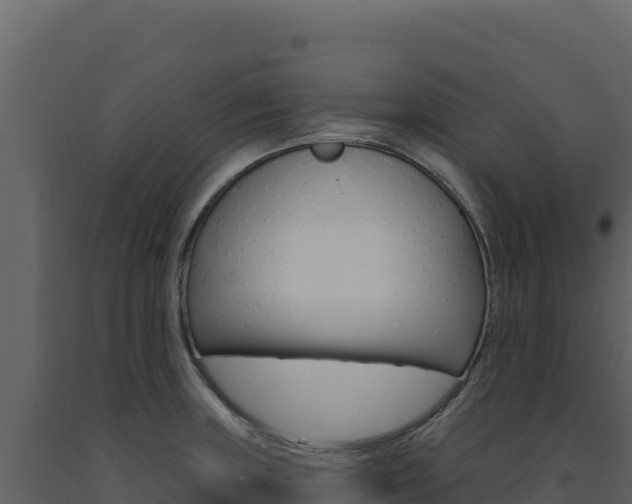 X0000091731235200708241036