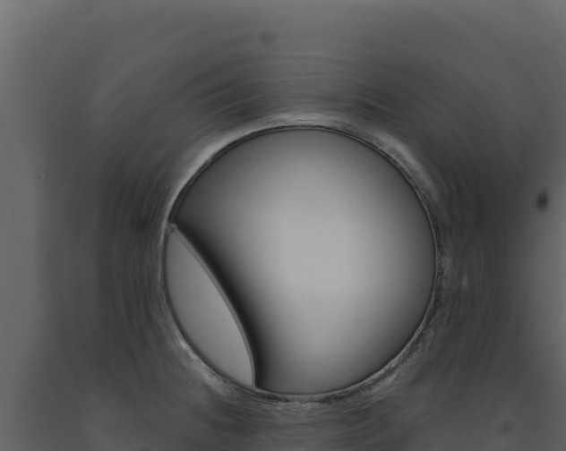X0000091731236200708241036