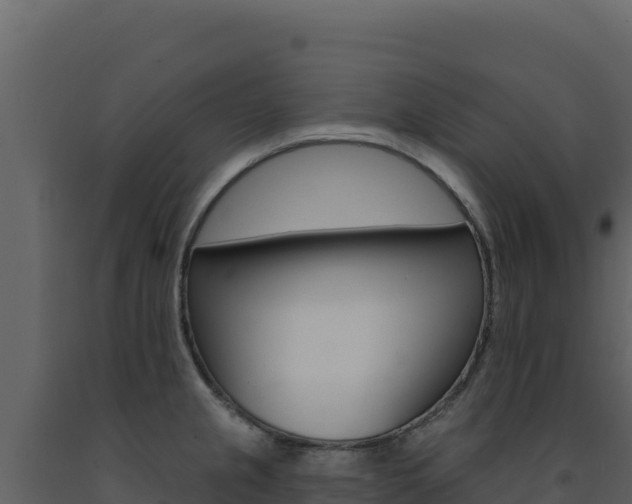 X0000091731237200708241036