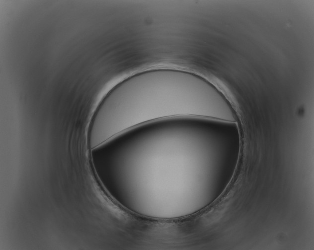 X0000091731238200708241036
