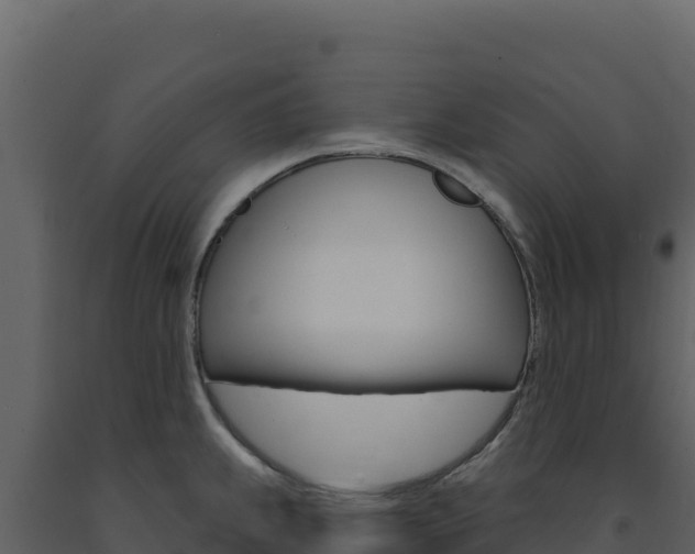 X0000091731239200708241036
