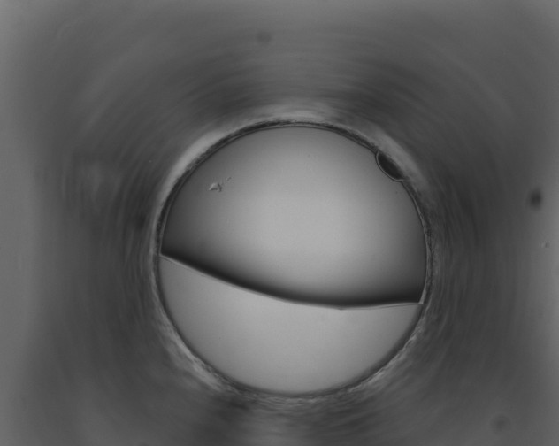 X0000091731240200708241036