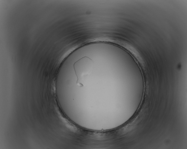 X0000091731241200708241036
