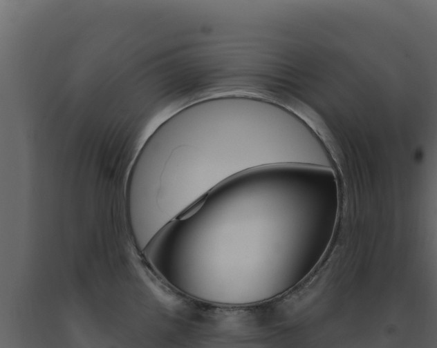 X0000091731242200708241036