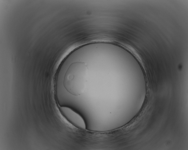 X0000091731243200708241036