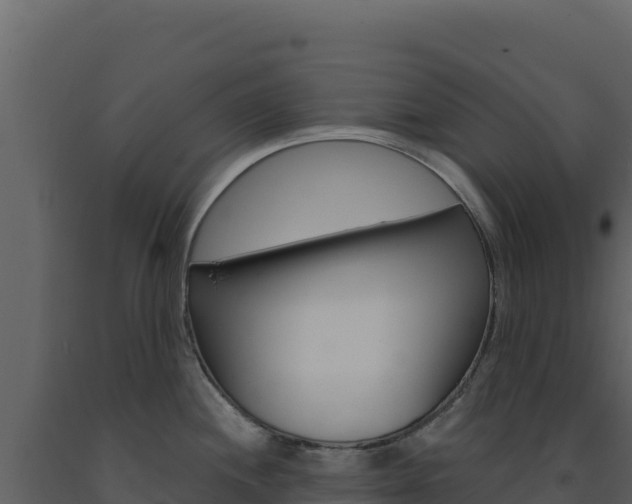 X0000091731244200708241036