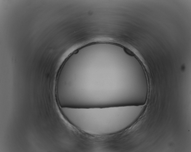 X0000091731245200708241036