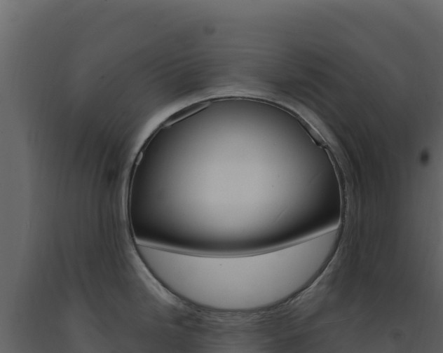 X0000091731246200708241036