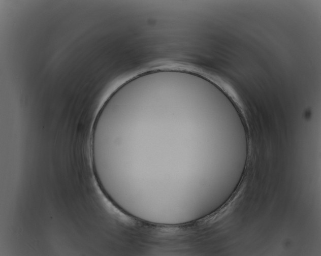 X0000091731247200708241036