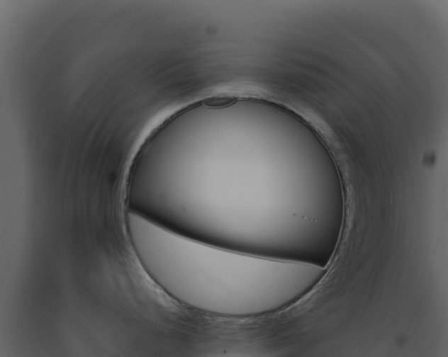 X0000091731248200708241036