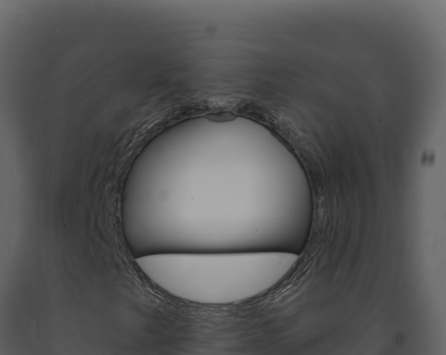 X0000091731249200708241035