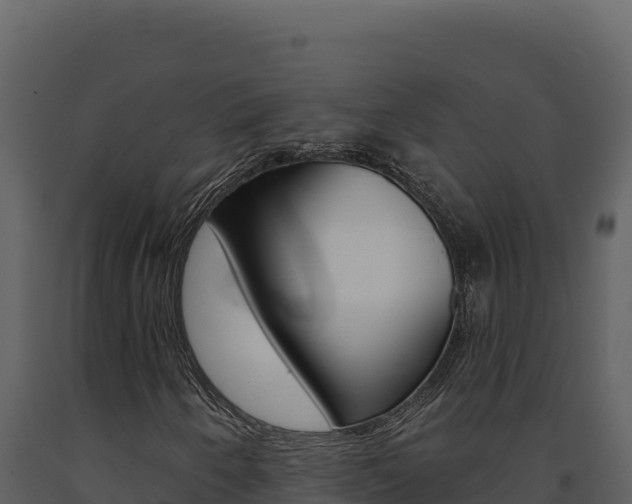 X0000091731250200708241035