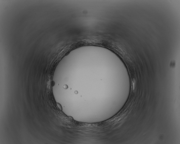 X0000091731251200708241035